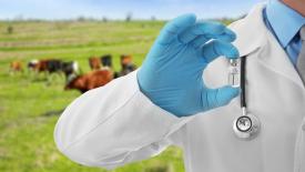 Лут назвала приоритеты мировой ветбезопасности